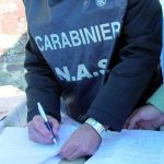 Bozza automatica 264