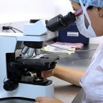 Bozza automatica 272