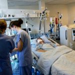 Bozza automatica 305