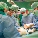 Bozza automatica 306