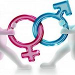 Bozza automatica 321