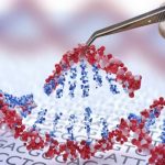 Bozza automatica 328