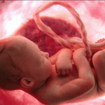 Bozza automatica 329