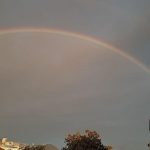 Bozza automatica 334