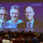 Medicina, un Nobel per tre: premiate le scoperte sul “respiro delle cellule”