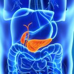 Tumori a pancreas e colon retto: incidenza e mortalità aumentate negli ultimi 30 anni