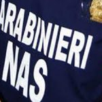 Bozza automatica 385