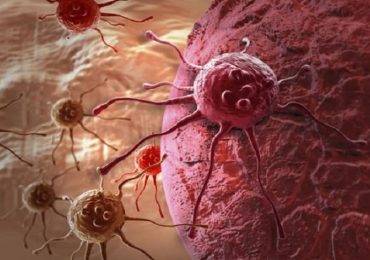 Cellule tumorali come i batteri: possono resistere alle terapie