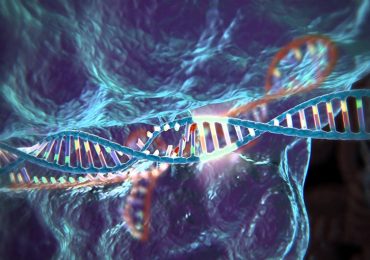 Tumori, l'editing genetico muove i primi passi