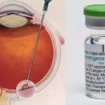 Due bambini affetti da distrofia retinica ereditaria vedono per la prima volta grazie al farmaco Luxturna 1