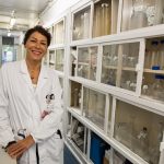 Sanità,contro l'emofilia la prima terapia genica d'Italia al Policlinico di Milano