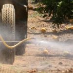Scatta il divieto Ue al pesticida dannoso per i bambini