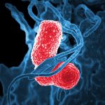 Corso Ecm Fad Gratuito "Introduzione al fenomeno dell’antibiotico resistenza e al suo contrasto"