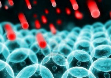 Farmaci più efficaci grazie ai “nanocontainer”.