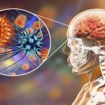 Malattie batteriche invasive: l'approfondimento dell'Iss