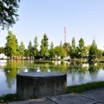 Modena, anziano si allontana dalla casa di riposo: ritrovato morto