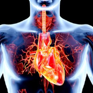 Rigurgito aortico: l’importanza per la prognosi di pressione diastolica e frequenza cardiaca a riposo