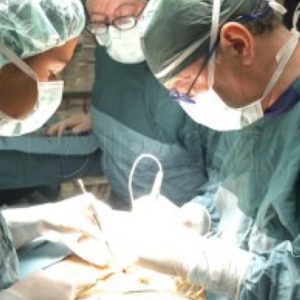 Torino: cellule staminali iniettate nel fegato di 3 neonati permettono di ritardare il trapianto
