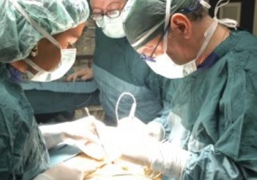 Torino: cellule staminali iniettate nel fegato di 3 neonati permettono di ritardare il trapianto