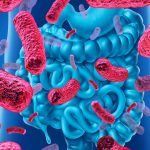 Trapianto di microbiota fecale: un’arma in più contro il Clostridium difficile.