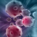 Come si nascondono i tumori? La risposta nel sistema immunitario.