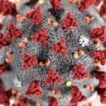 Coronavirus: in Thailandia sperimentata cura efficace