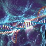 Malattie genetiche, nuova tecnica corregge difetti di inetrei comosomi.