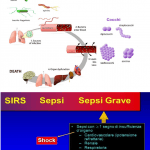 Sepsi e Corticosteroidi. Quale utilità? Lo studio