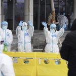 Bozza automatica 446