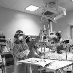 Bozza automatica 449