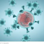 Covid-19: scoperta l’arma che permette di arrestare la replicazione del virus