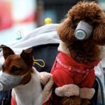 Hong Kong: primo case positivo al Coronavirus sottoposto a quarantena