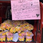 Osp. Sacco: 2.000 rose in dono a medici, infermieri e oss che combattono il Coronavirus