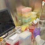 Utrecht: sviluppato anticorpo monoclonale in grado di aggredire il coronavirus