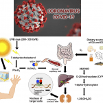 Vitamina D contro il Coronavirus?