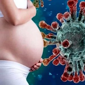 Coronavirus: il rischio di trasmissione al feto in gravidanza.