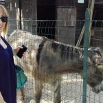 Infermieri accostati alla Mafia nelle farneticazioni social: l’ordine dei medici valuta la posizione della Balanzoni