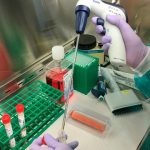 Coronavirus e "cascata del complemento": lo studio