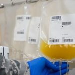 Coronavirus, obiettivo banca del plasma in Veneto: la Regione scrive ai guariti