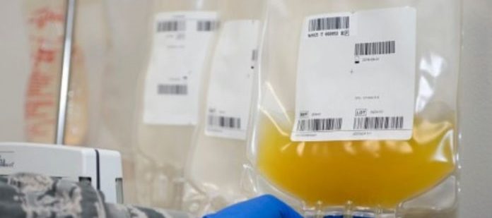 Coronavirus, obiettivo banca del plasma in Veneto: la Regione scrive ai guariti