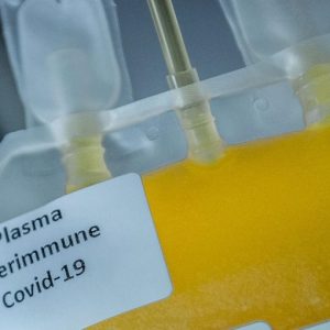 Coronavirus: polemiche sul trattamento con plasma iperimmune
