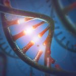 Covid-19, processi cellulari possono "hackerare" in codice genetico del virus