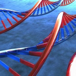 Malattie neurodegenerative: la svolta da una terapia a base di RNA?