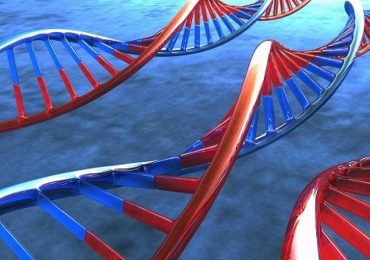 Malattie neurodegenerative: la svolta da una terapia a base di RNA?