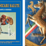 “Premio Casalegno” agli ordini degli infermieri, medici e farmacisti