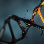 ZNF398, il gene che rivoluzionerà la medicina rigenerativa