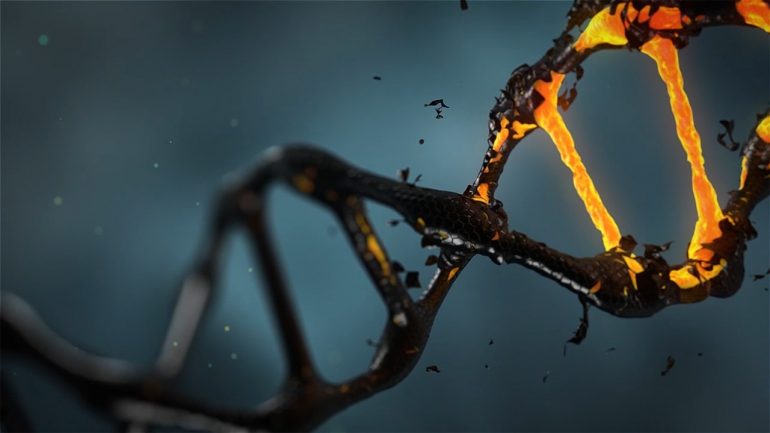 ZNF398, il gene che rivoluzionerà la medicina rigenerativa