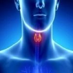 Coronavirus e tiroidite subacuta: studio pisano documenta il primo caso di connessione