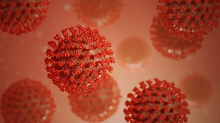 Individuato target terapeutico per contrastare l’infiammazione provocata dal coronavirus