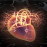 Stenosi aortica bicuspide e sostituzione della valvola transcatetere: buoni risultati con i nuovi dispositivi